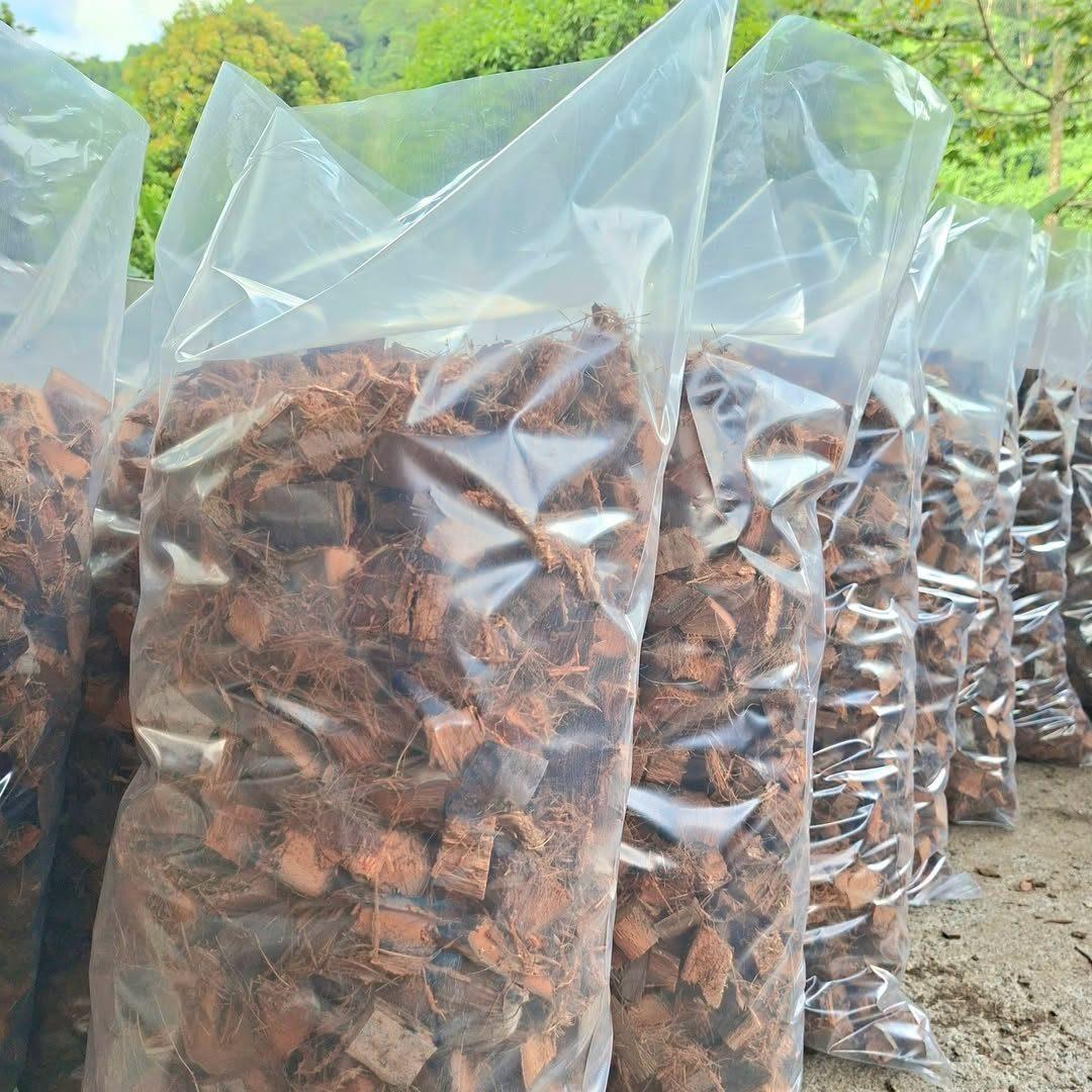 Rangée de sacs transparents remplis de coco broyé